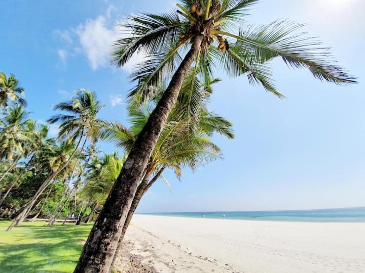Mami Wata House Bed and Breakfast Kwale Buitenkant foto